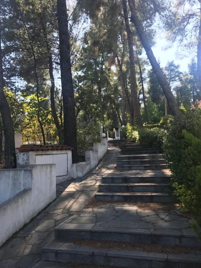 Villa Sani Garden House Extérieur photo